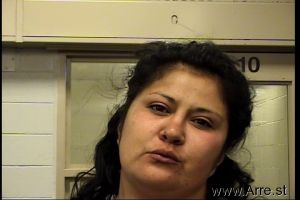 Christina Gutierrez Arrest Mugshot